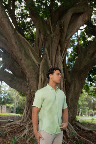 CAMISA AVO LINO MANGA CORTA VERDE